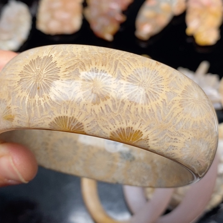 硅化珊瑚（珊瑚玉）手镯未镶嵌诗****沈