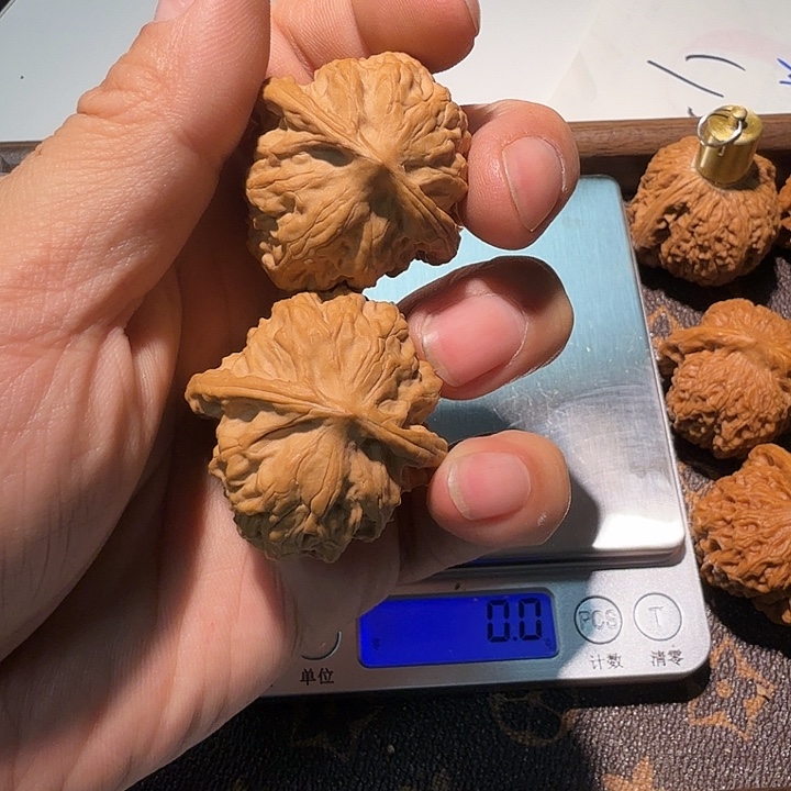 核桃全品无修野狼核桃