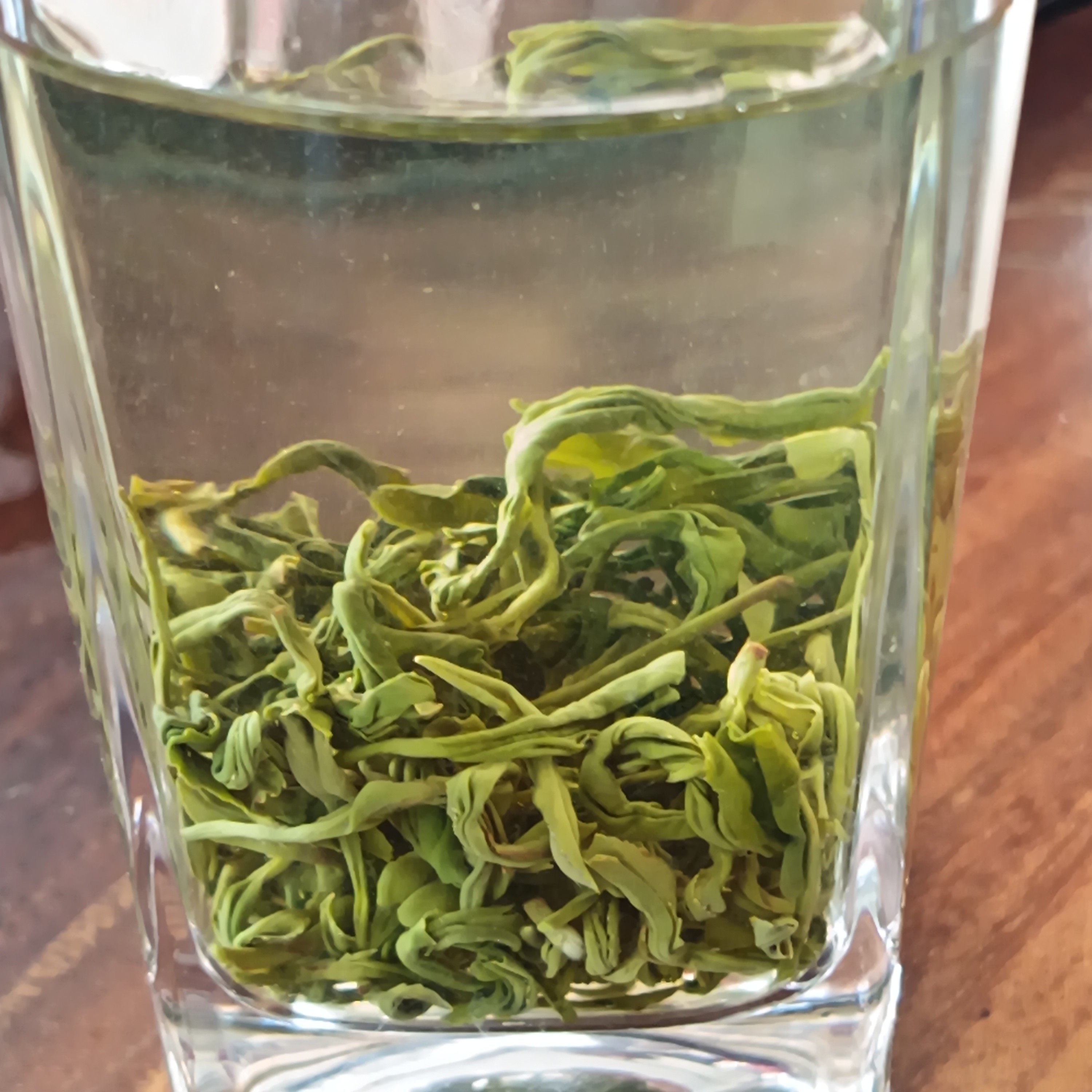 四川毛尖茉莉绿茶卷型茶叶耐泡适合做口粮茶