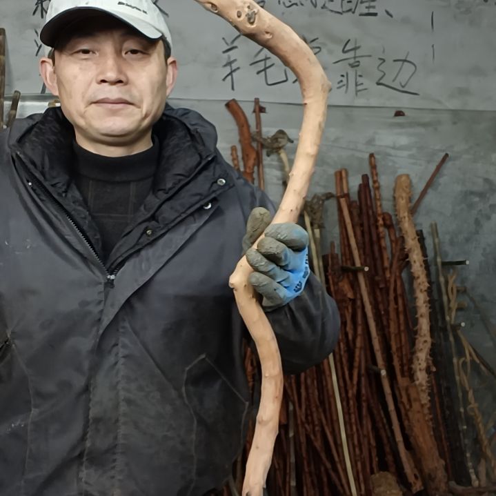 稳定木用****5贵州檬子木   铁马鞭   根艺  半成品