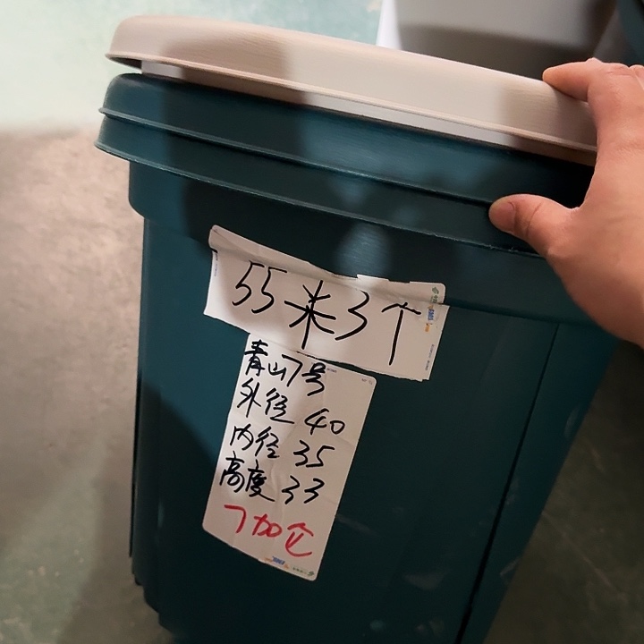 青山7#军绿5个无托