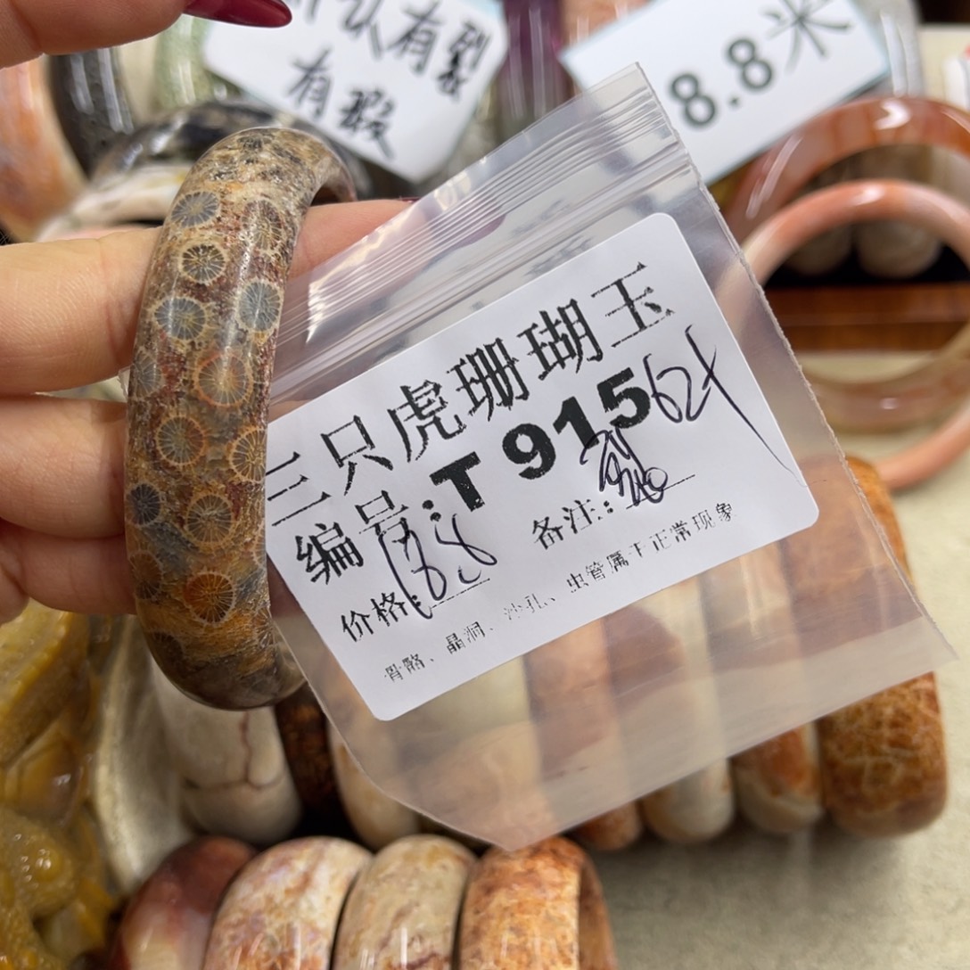 冉***然硅化珊瑚（珊瑚玉）未镶嵌h