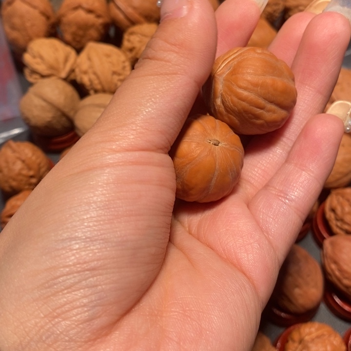 文玩核桃吊坠核桃