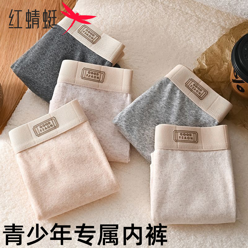 红蜻蜓天然彩棉透气平角纯棉内裤青少年大码运动10A抗菌四角裤头商品图