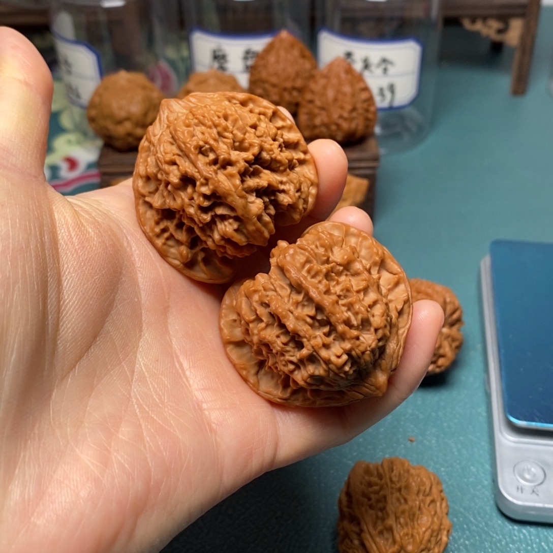 核桃44尺全品满天星