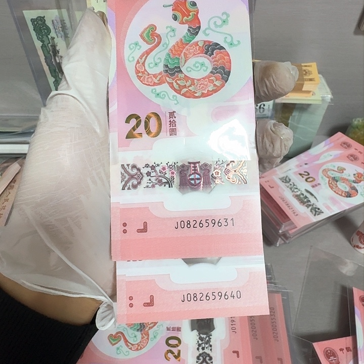 蛇钞纪念钞标十一组9631