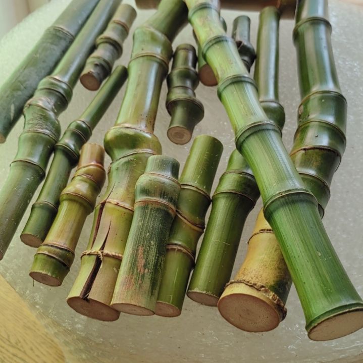 胖***桑实心竹实心竹实心竹