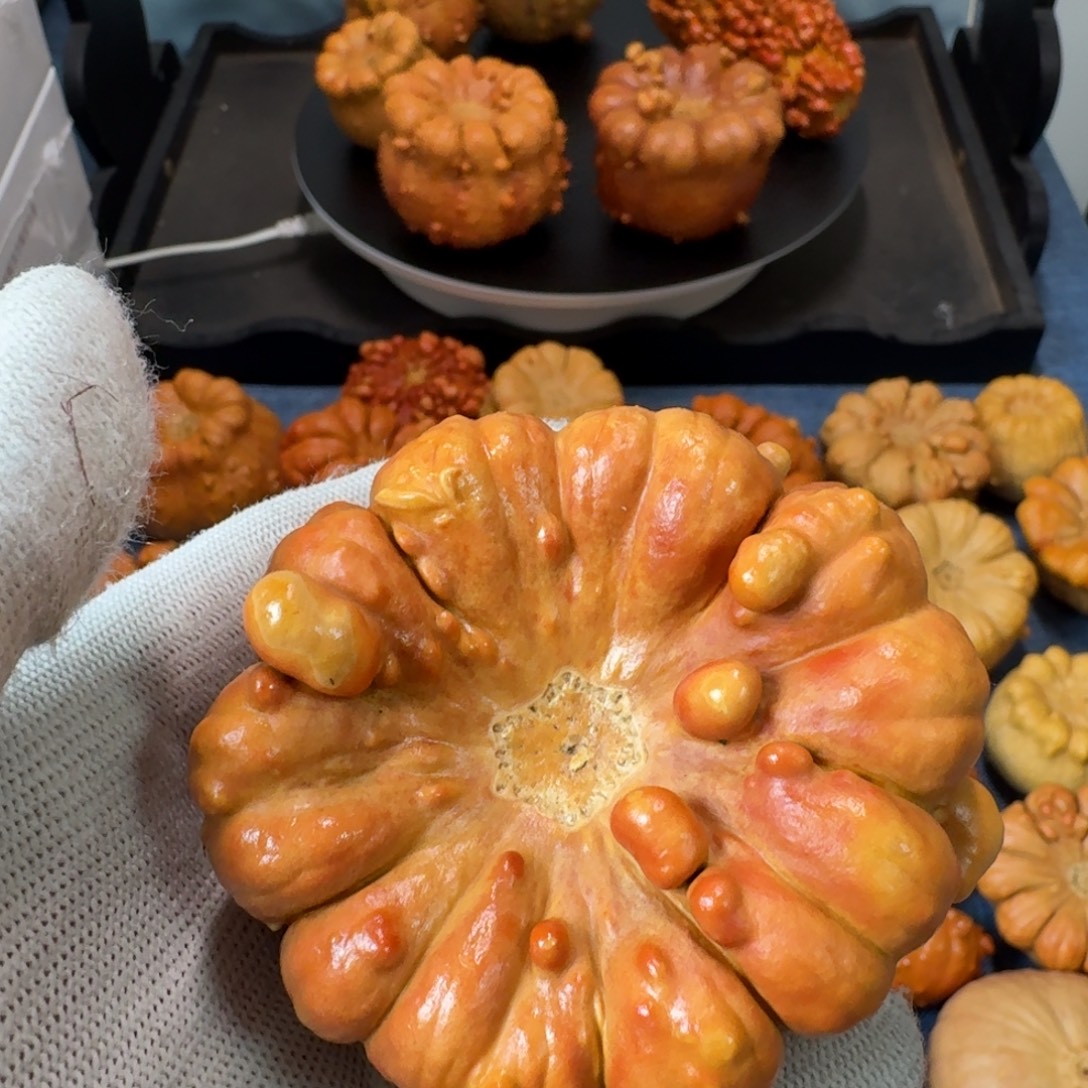 婳***ī墨西哥七彩疙瘩葫芦