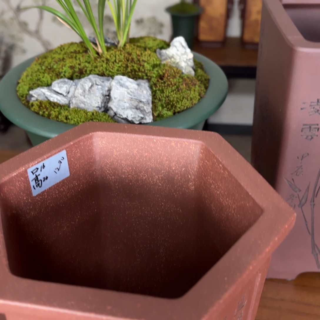 紫砂小**鱼正宗高温全手工花盆