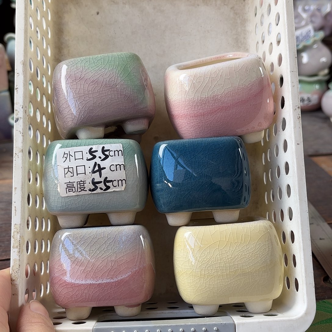 量货/4口高5.5深浅搭配发6