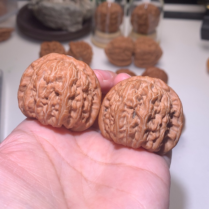 Q***松文玩核桃把件白狮子