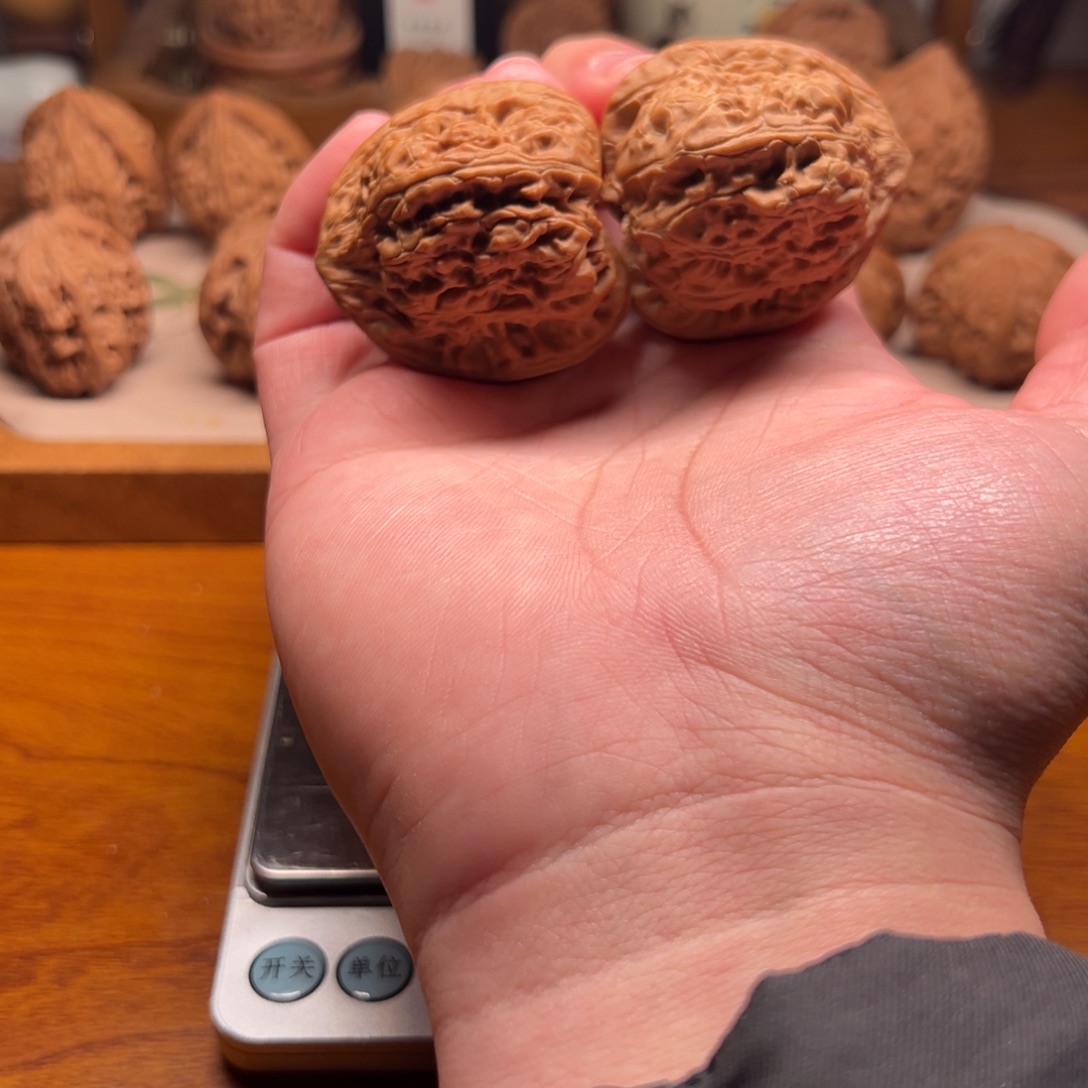 纽***克全品无修金蟾王 小众