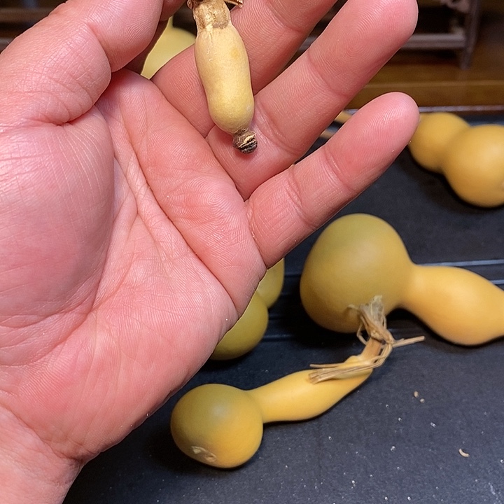 燕****声精品葫芦手把葫芦12