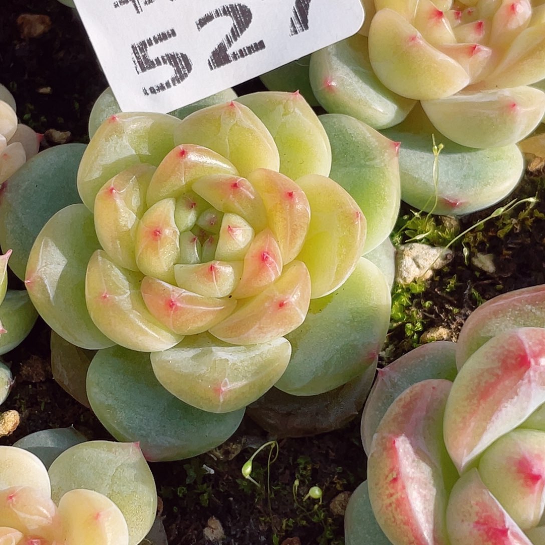 527包物业管理有限公司开户