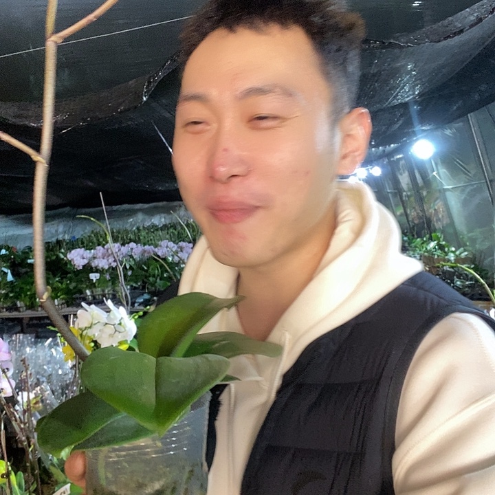 无花朵拉丁舞裙蝴蝶兰