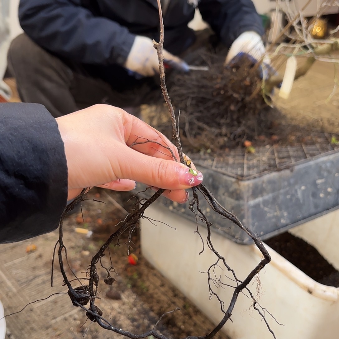 青***蟹照照姬哈哈哈哈哈哈哈哈哈