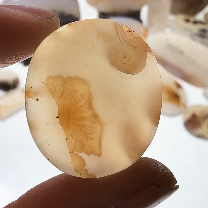 玛瑙/玉髓钛钢珠宝半成品