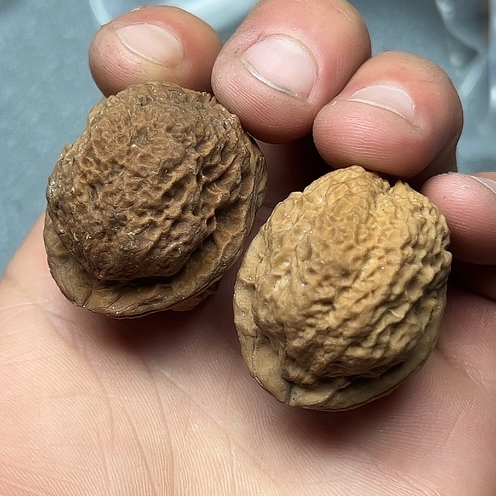 吊坠文玩核桃花彩珊瑚纹