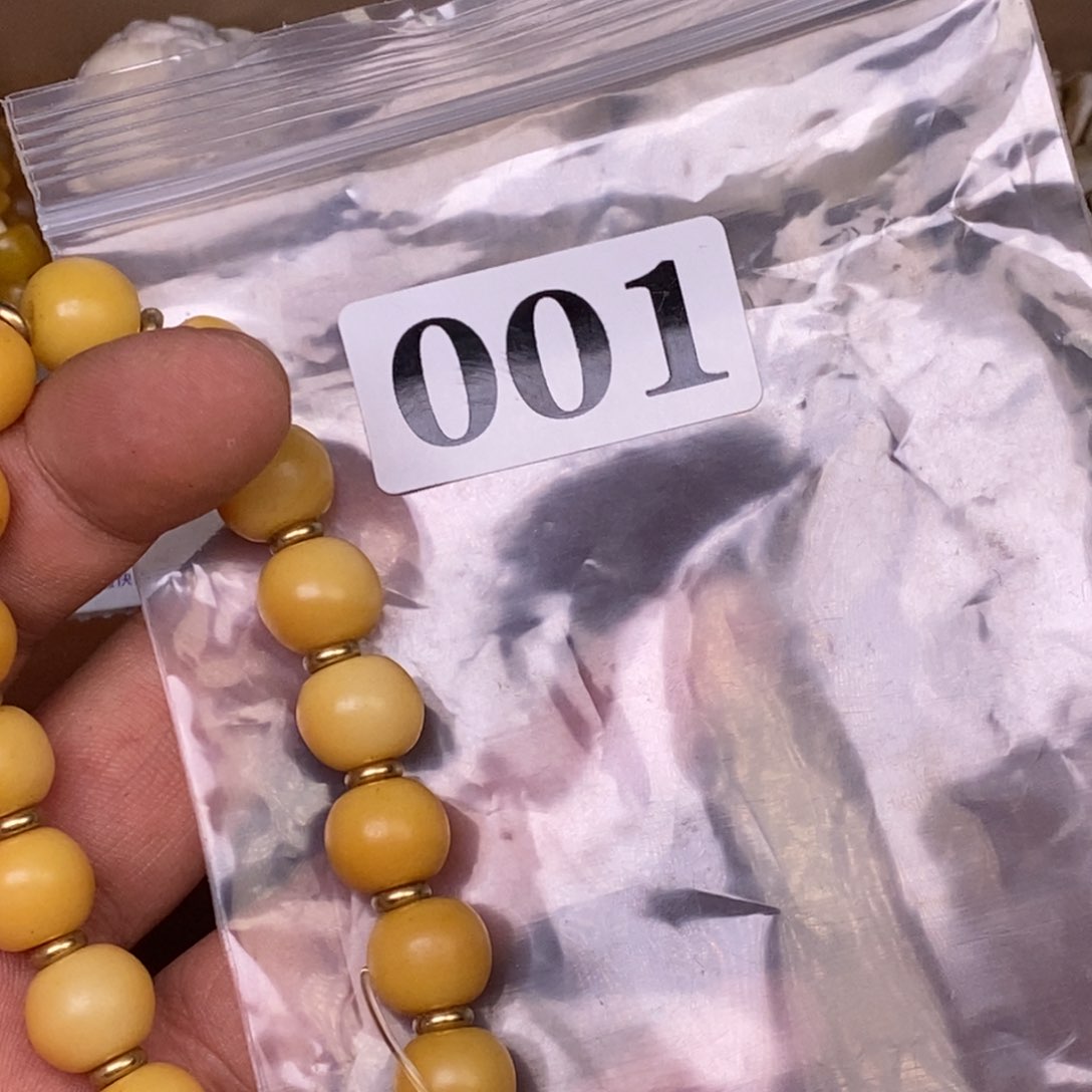 其他驼骨人工样子