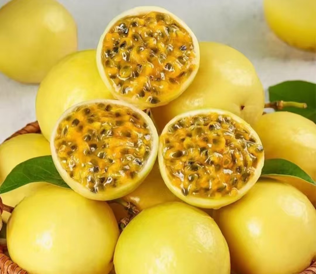 正宗广西百香果新鲜包邮甜酸多汁孕妇水果