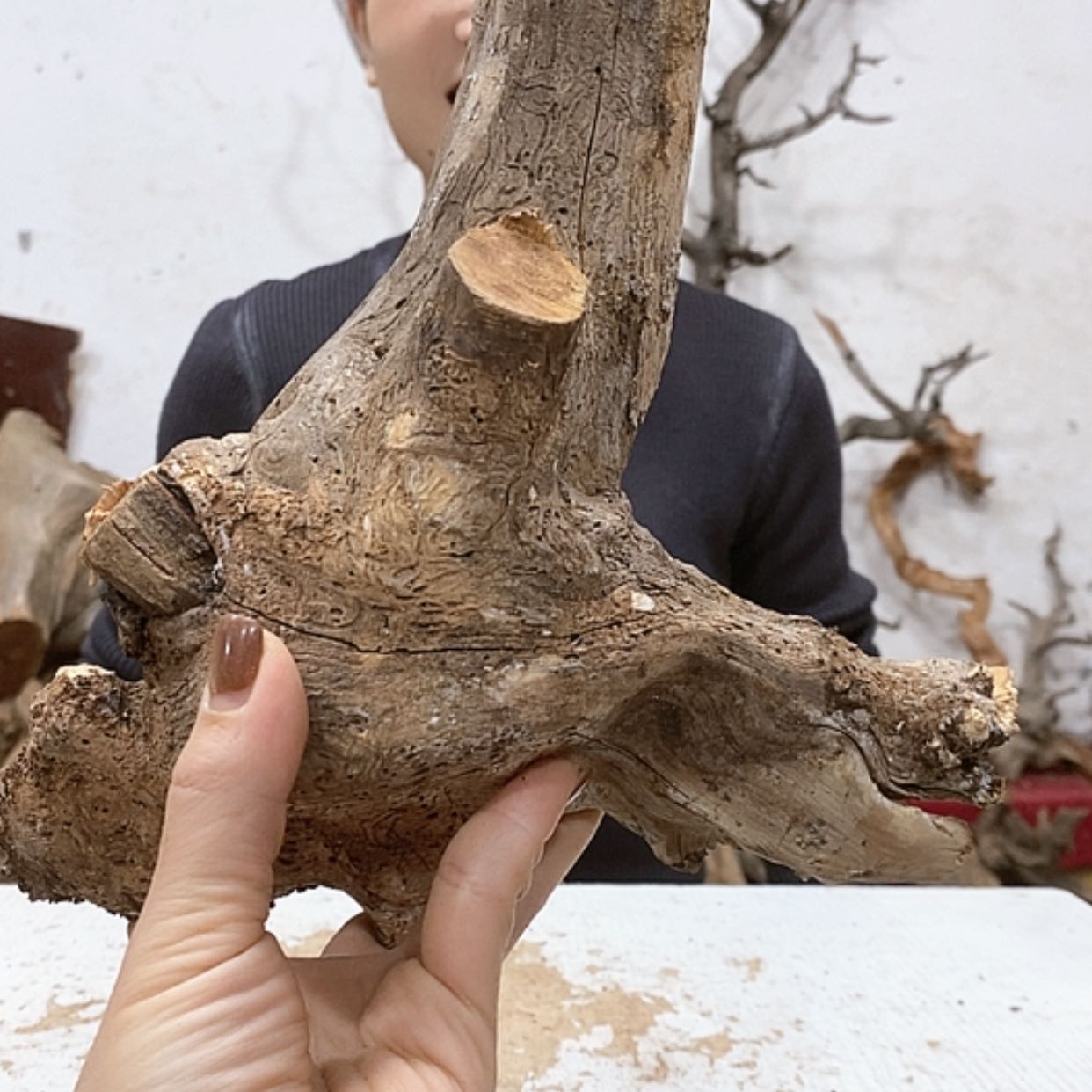 【闪购商品】柏木老*我们都是好孩子