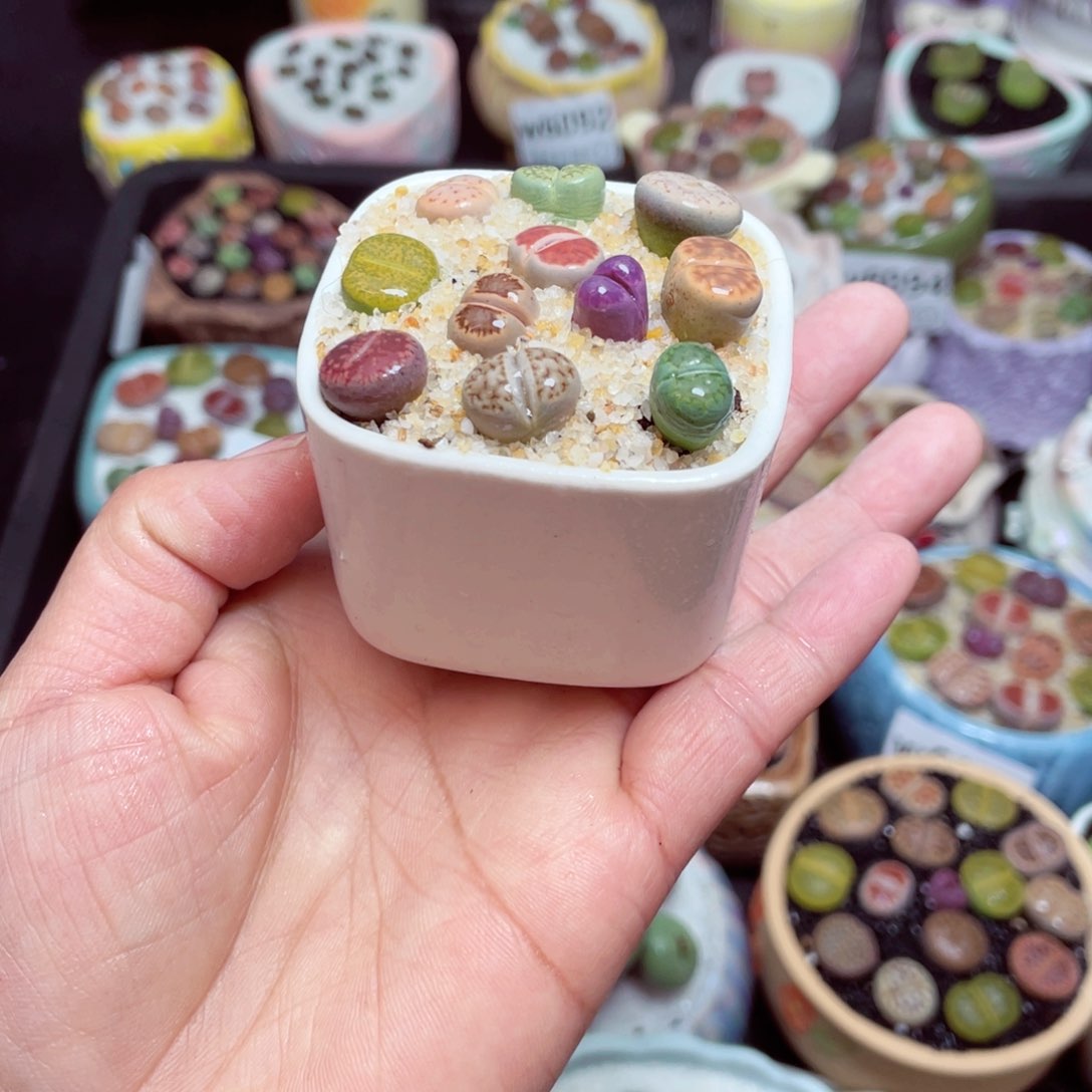 w6096 -零下地区拍保温箱-15支持寄养