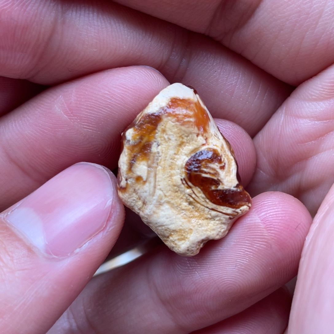 定制琥珀未镶嵌天然蜜蜡