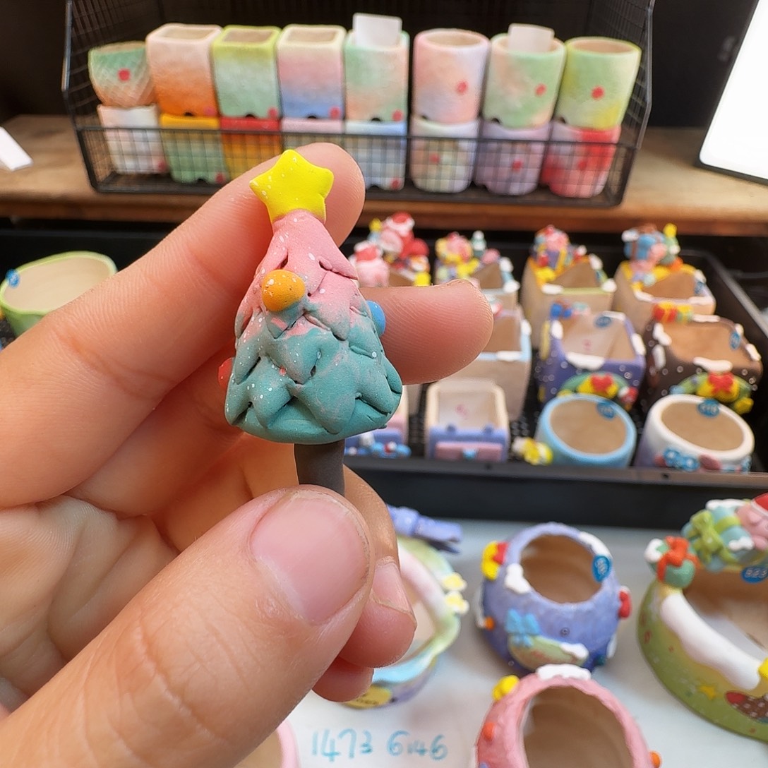 k***f多肉植物福利花盆