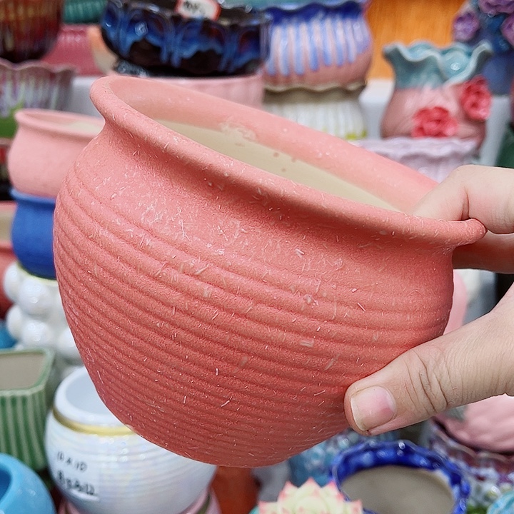 多肉植物陶瓷花盆