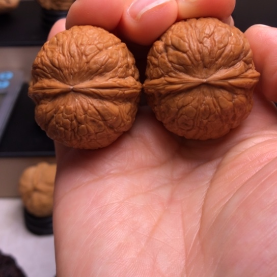 文玩核桃把件金***～金蟒蛇皮球39