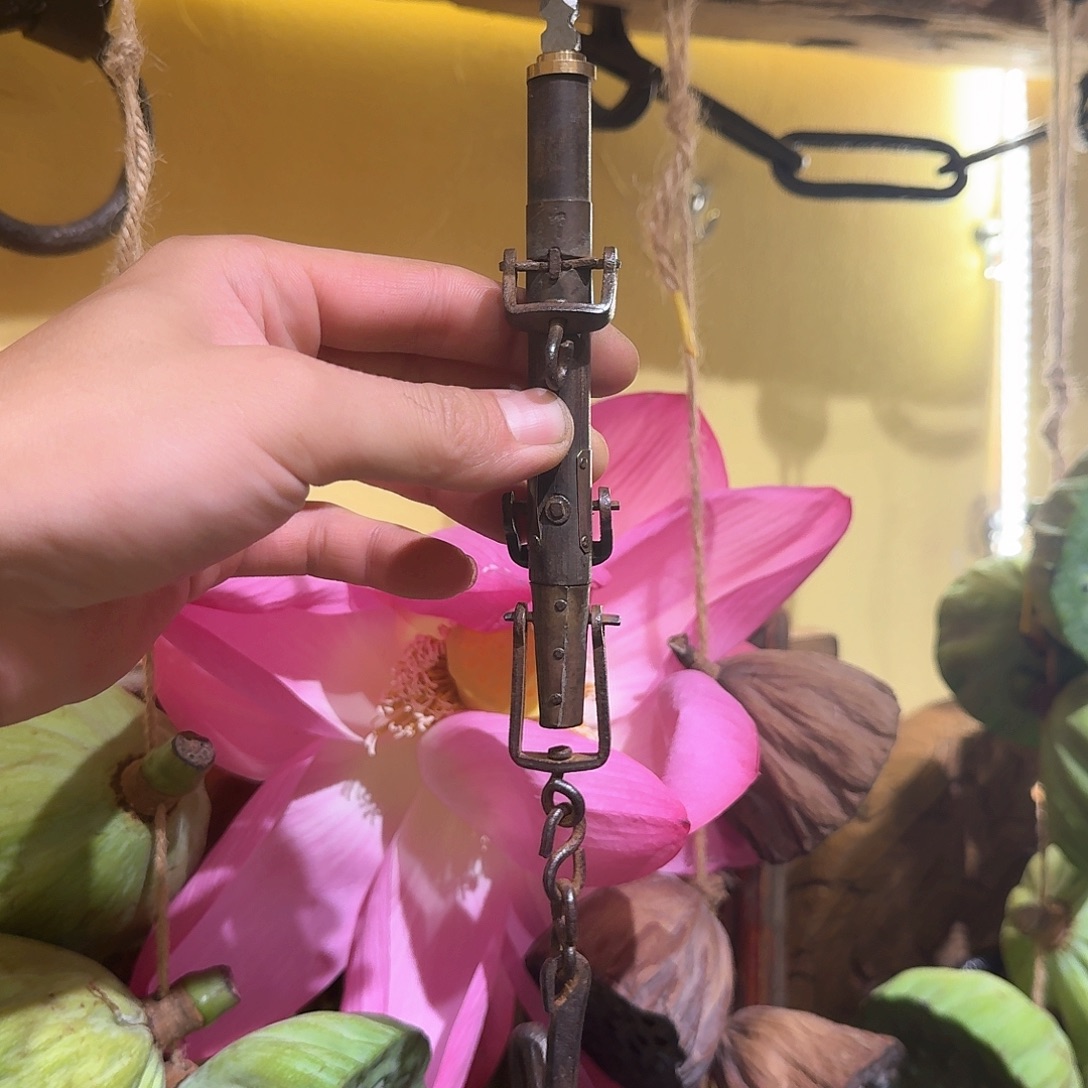 h***p老秤杆茶一个包邮