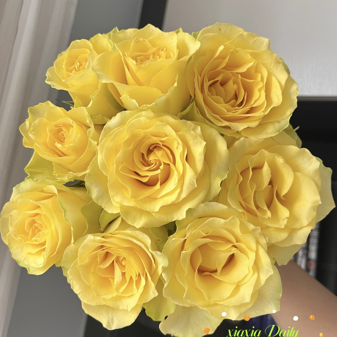 两单包邮！浪漫沙滩10支（20%不售后）