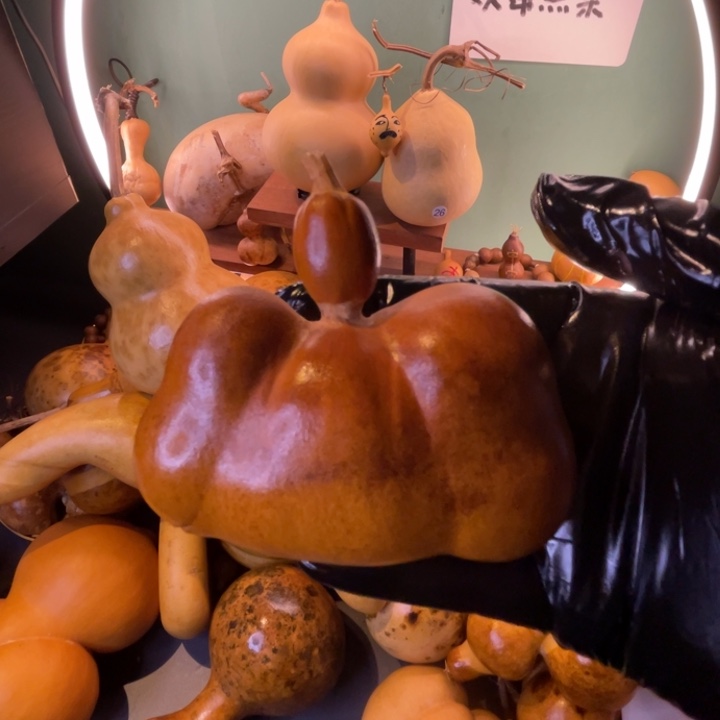 看好下单不保龙头