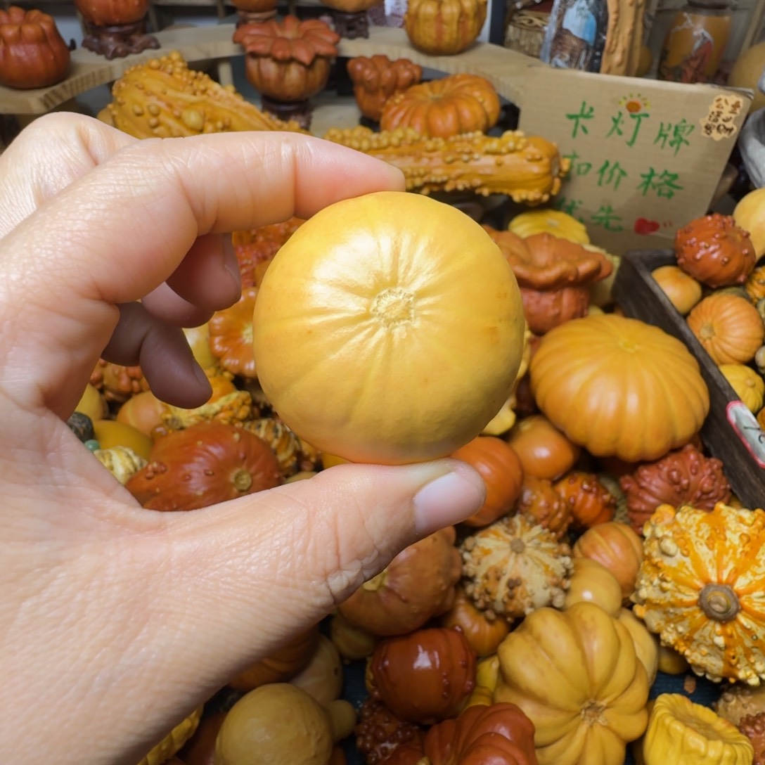 闻***柚特价葫芦不退不换