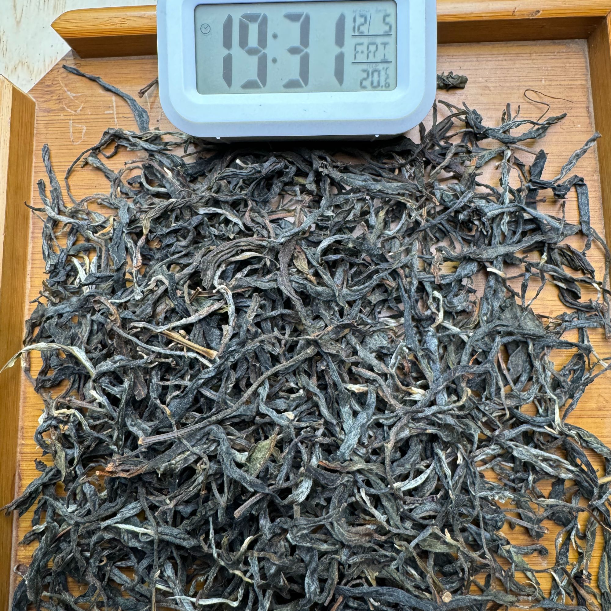 2025年·春 正气塘古树·普洱生茶·散茶-12月5日【123号茶农福利】