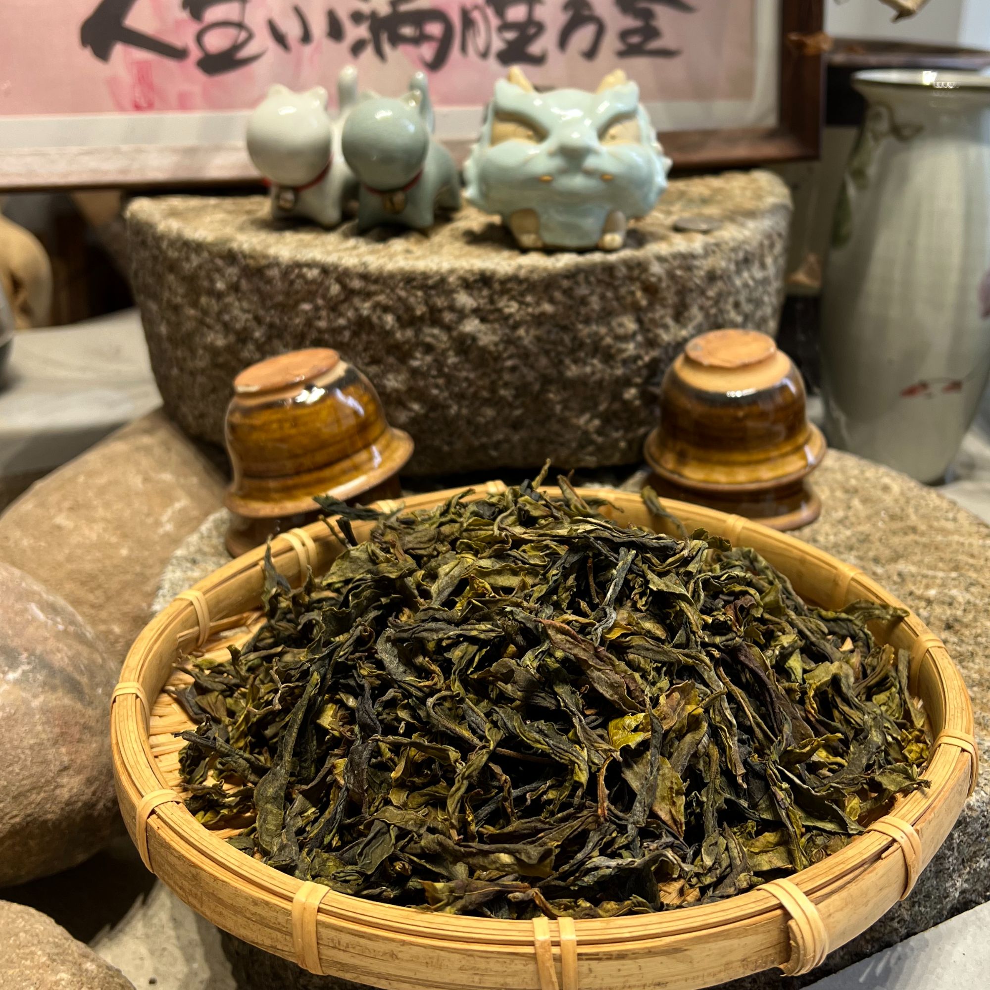 【地界2号】冰岛地界2025年 古树黄金叶