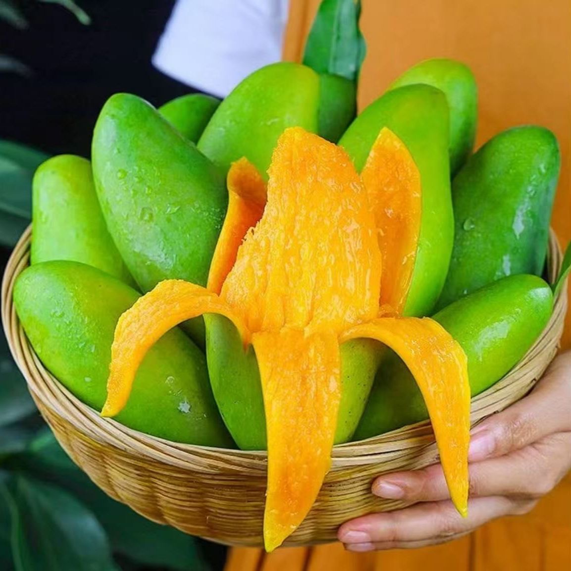 【正宗百色桂七芒】广西百色桂七芒果产地直发青皮新鲜应季水果多汁