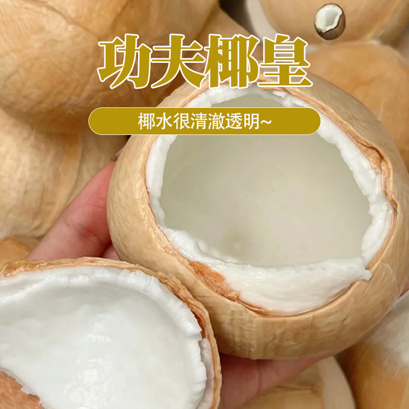 【坏果包赔】功夫椰皇5粒单果1.4-1.6斤