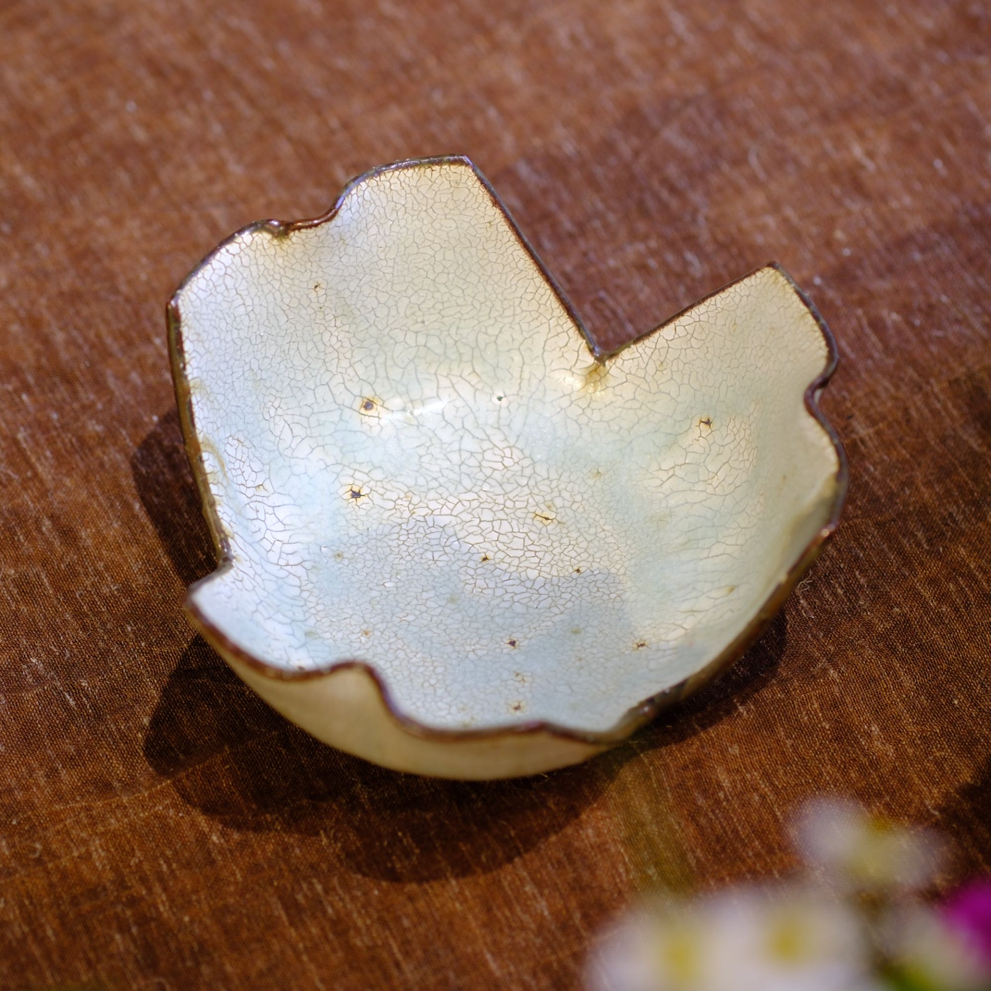 小喜宅 落苏三瓣荷（口径约13.5cm）