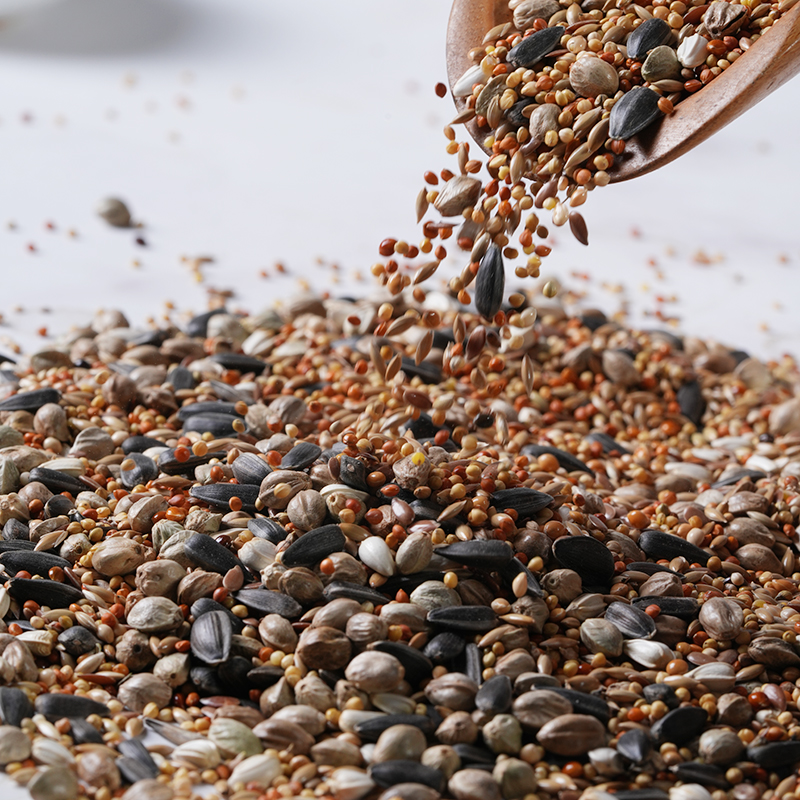 牡丹玄风鹦鹉粮食种子粮当季新粮