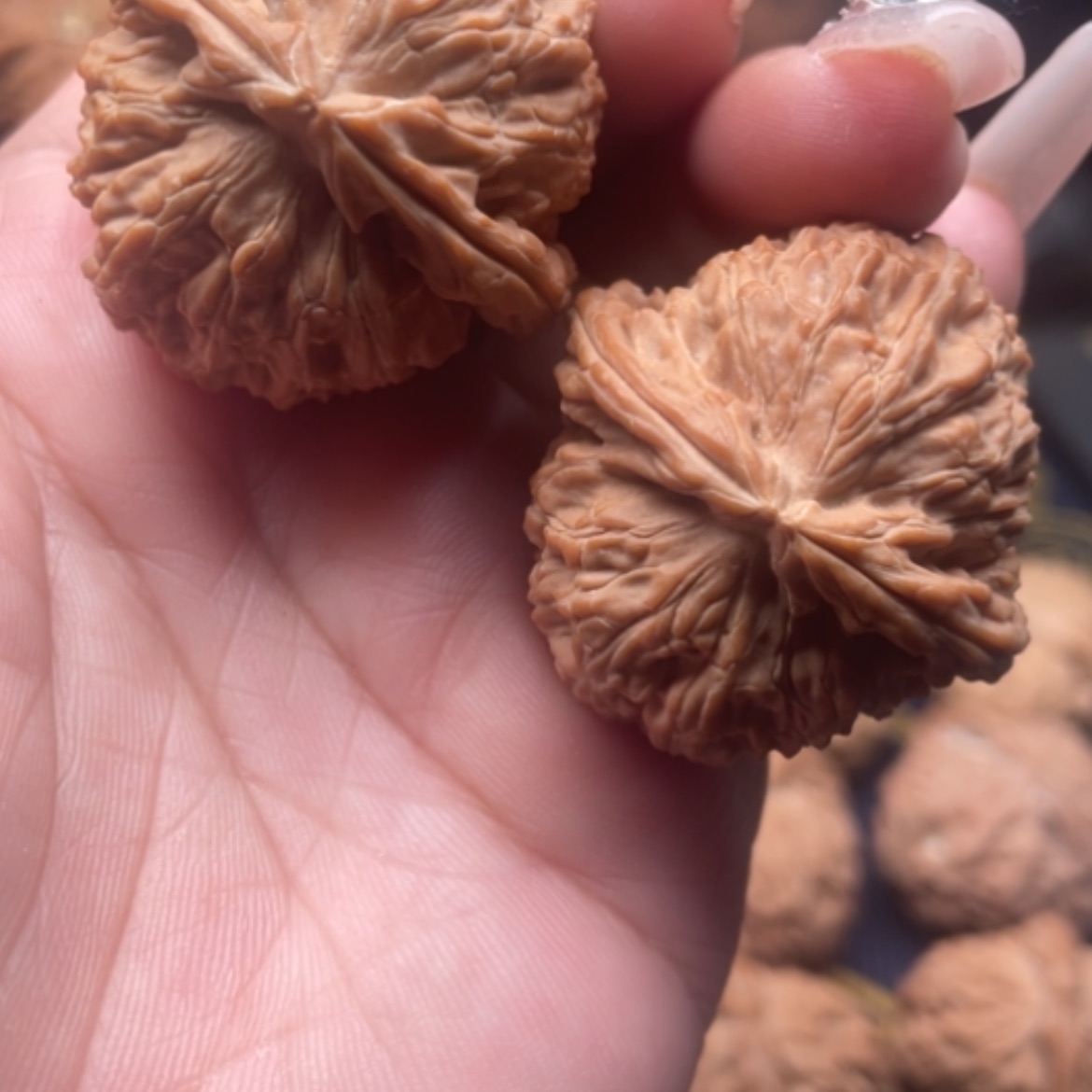 【闪购商品】猴头核桃吊坠三角白38.39.36