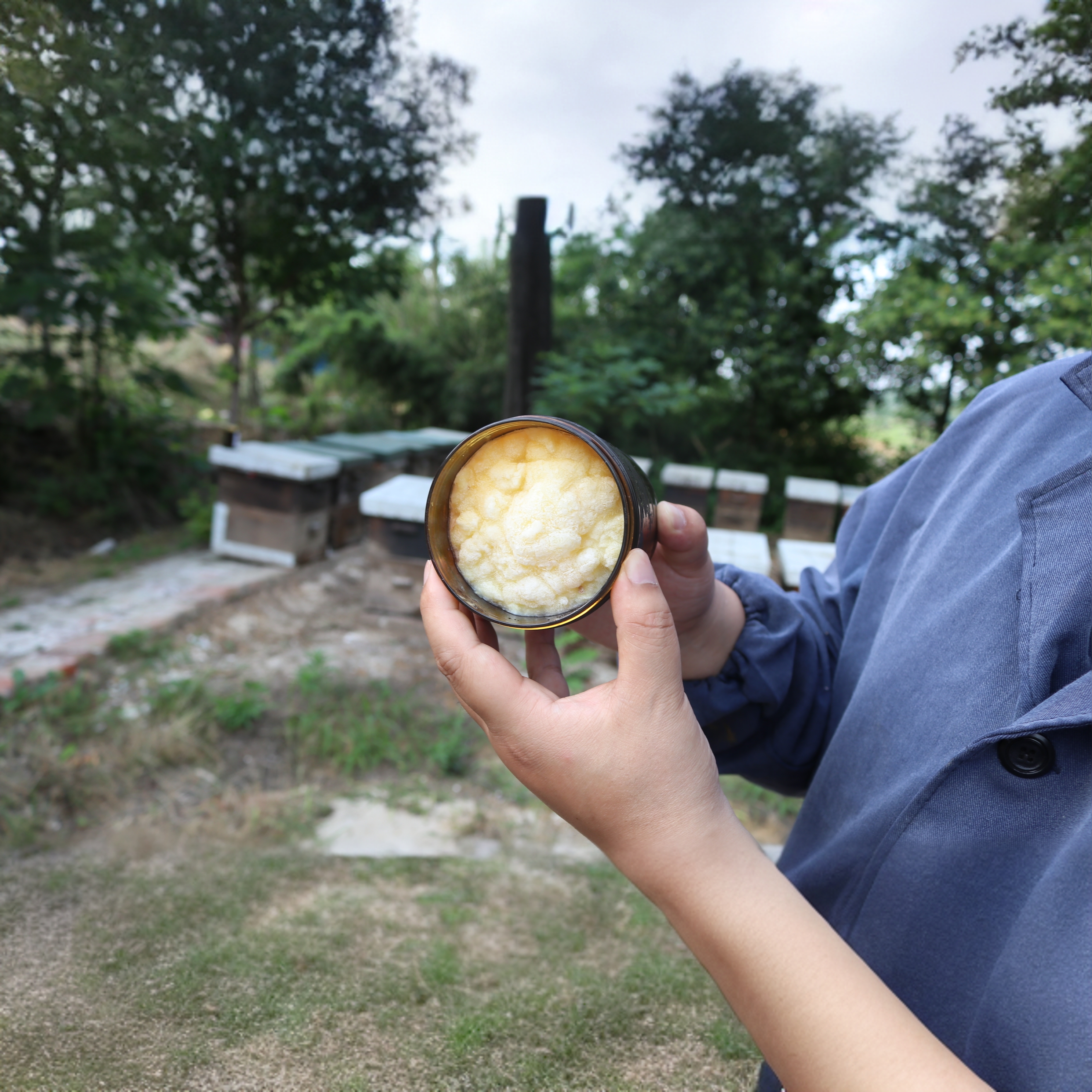 春浆【5送1】2025新鲜春季蜂王浆纯正天然蜂皇浆蜂农自产顺丰包邮