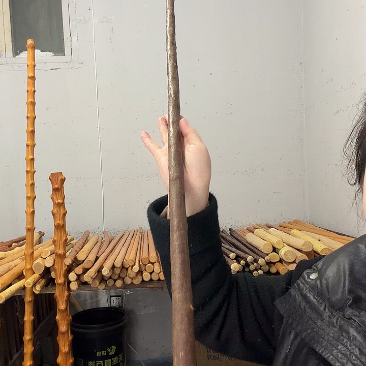 轻***山秦岭石山兔儿条鞭杆