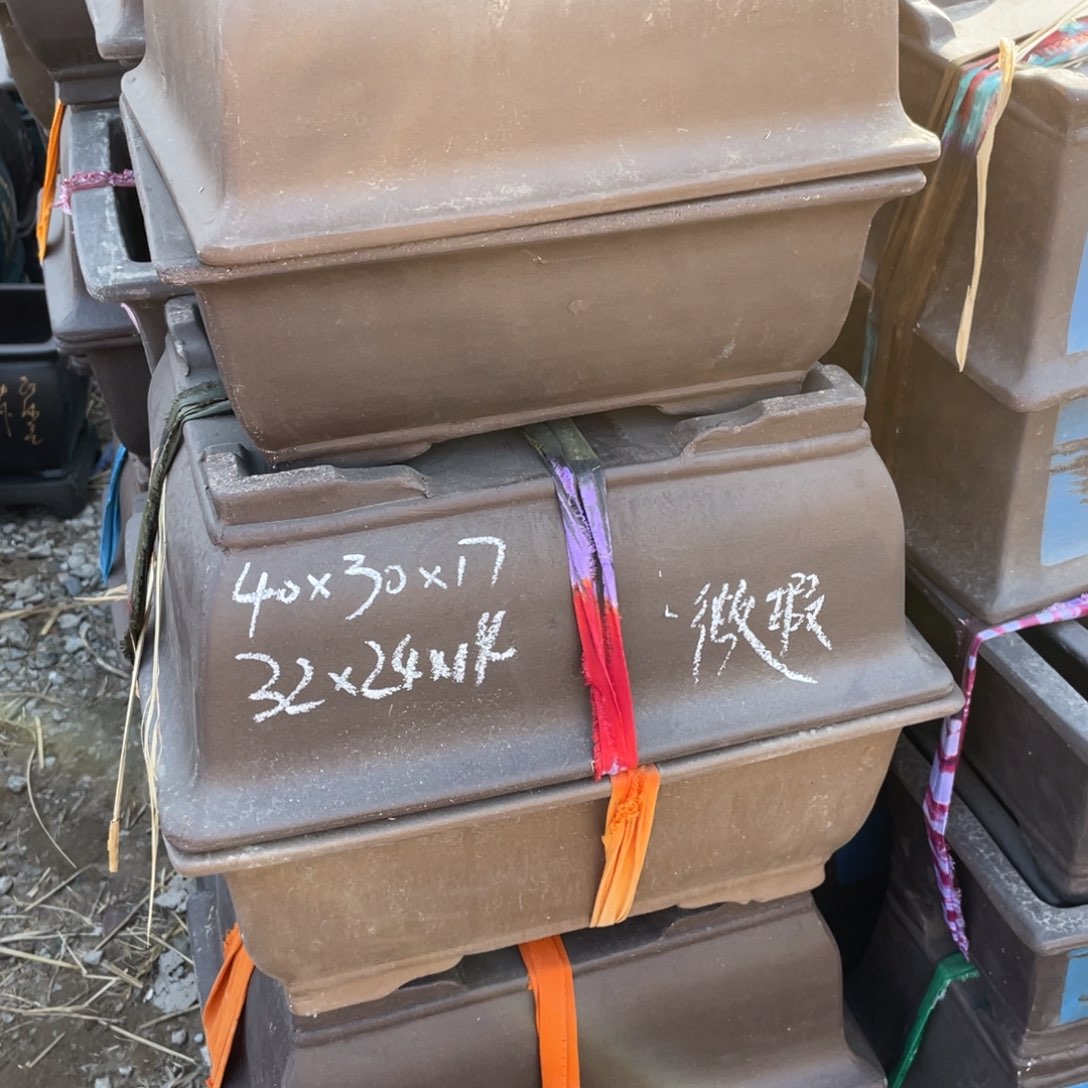 紫砂天*40cm 四只