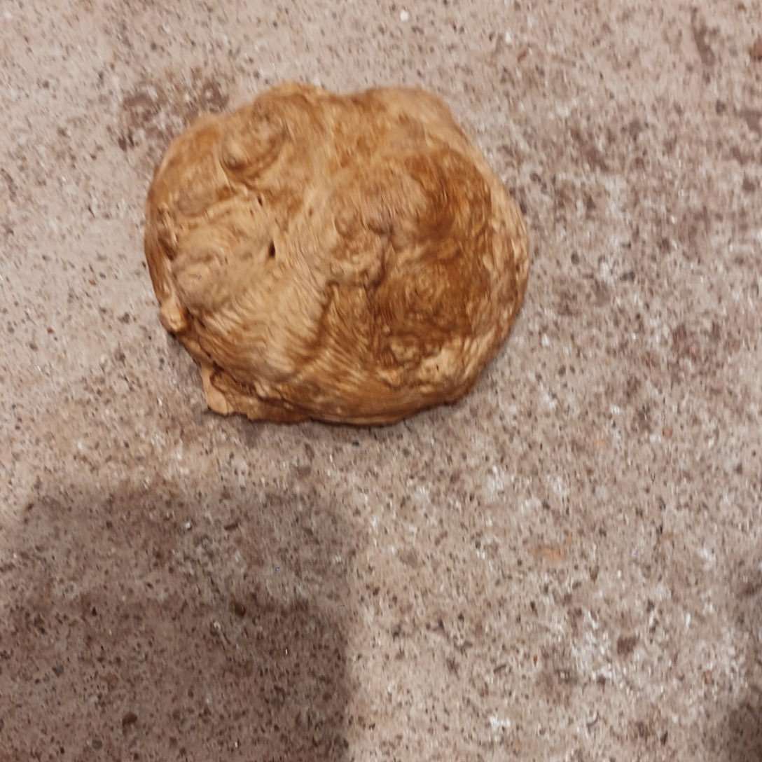 R***攀荔枝木随形木材一个
