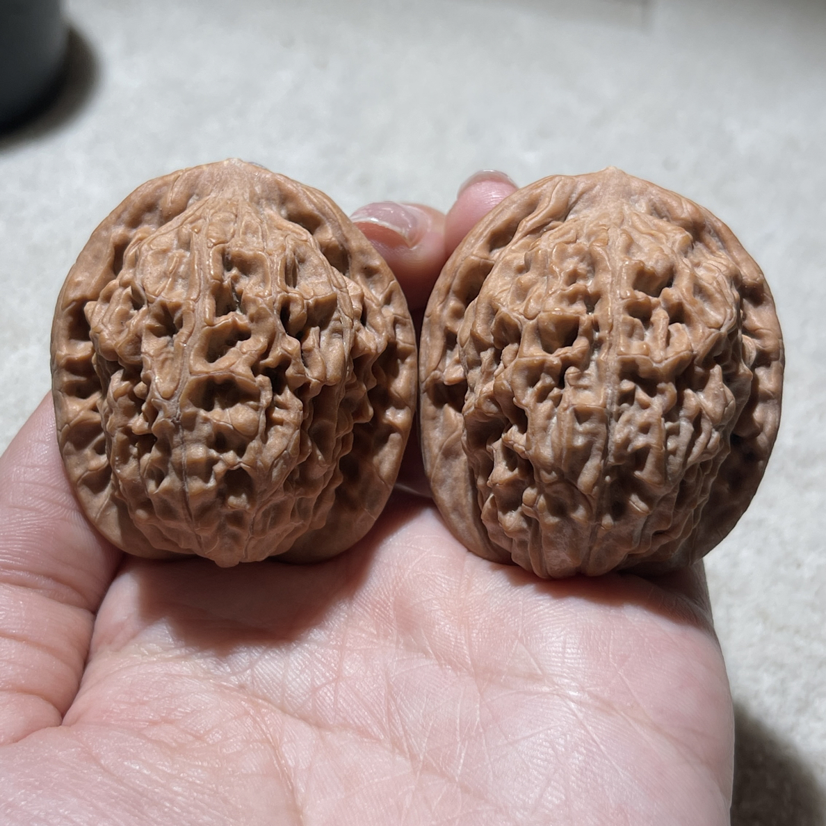 特价全品压手莲花尺寸40及以上，尖有小黄，黄蜡皮走色牛津红克重沉