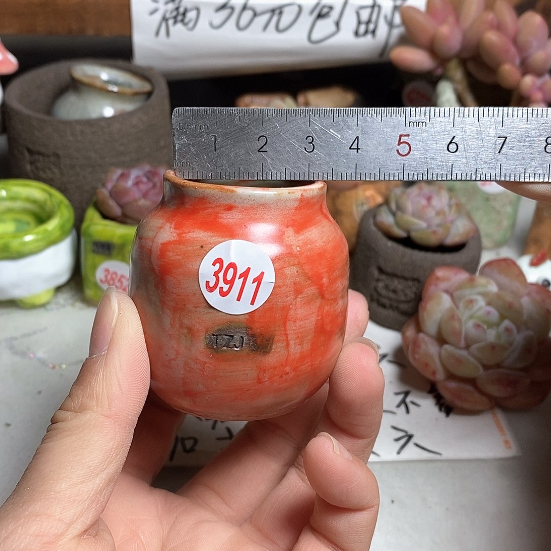 红陶拍5送一个小