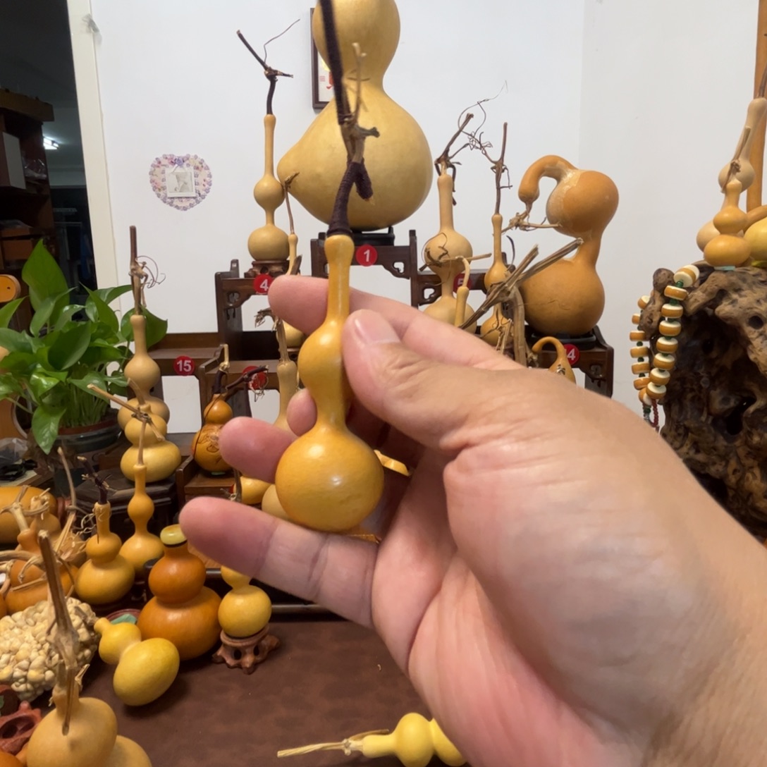 百***搭三庭葫芦，一物一拍