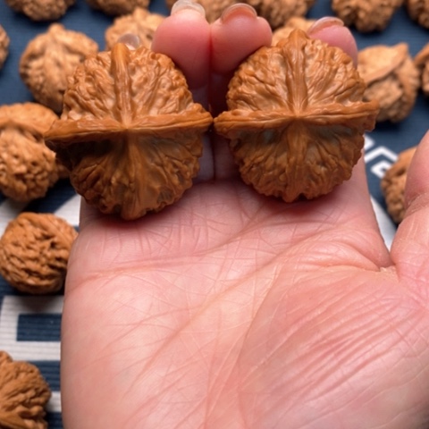 橄榄核手串/手链茹金锭40