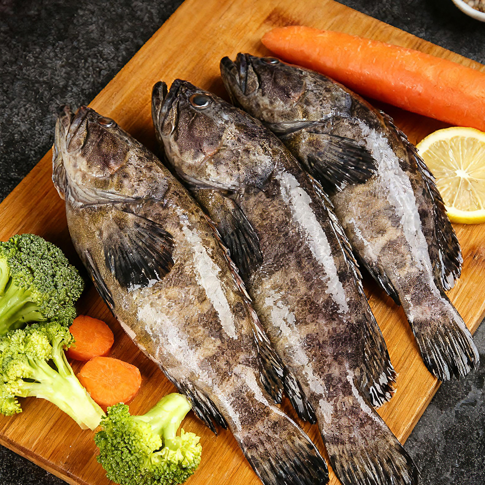 深海石斑鱼3条装共3.6斤 新鲜湛江海鲜深海珍珠龙胆石斑鱼